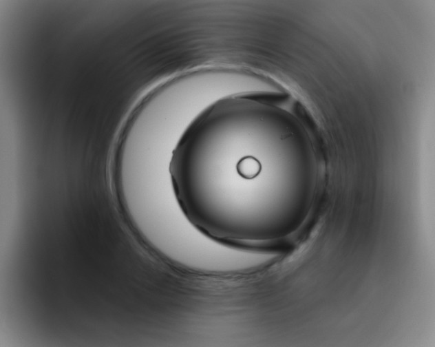 X0000092040838200709261949