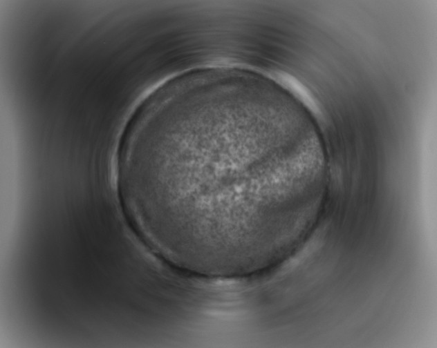 X0000092040839200709261949