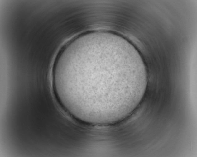 X0000092040840200709261949