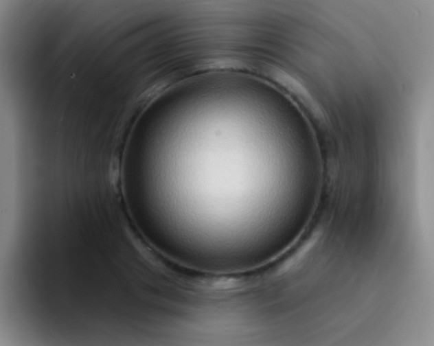 X0000092040841200709261949