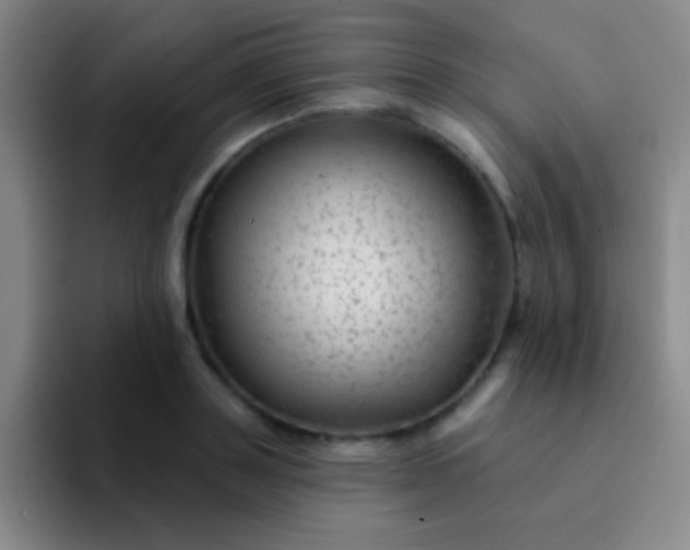 X0000092040843200709261949