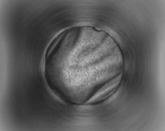 X0000092040844200709261949