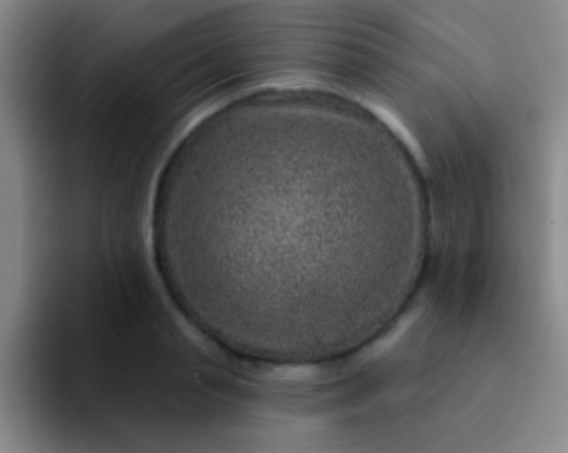 X0000092040845200709261949