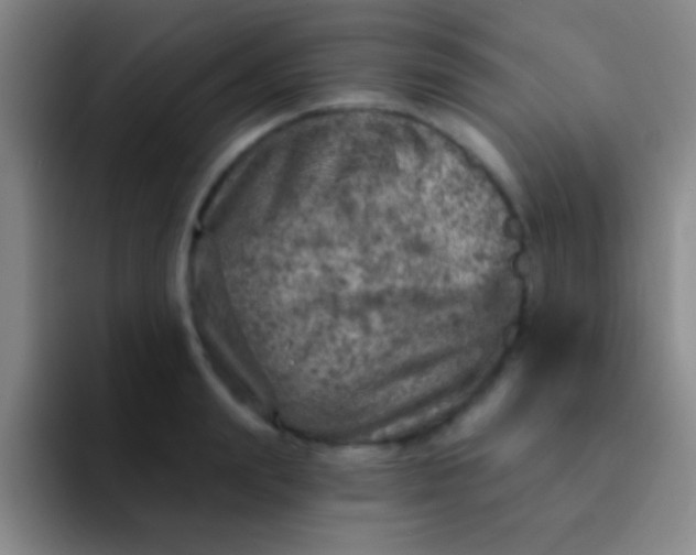 X0000092040847200709261949