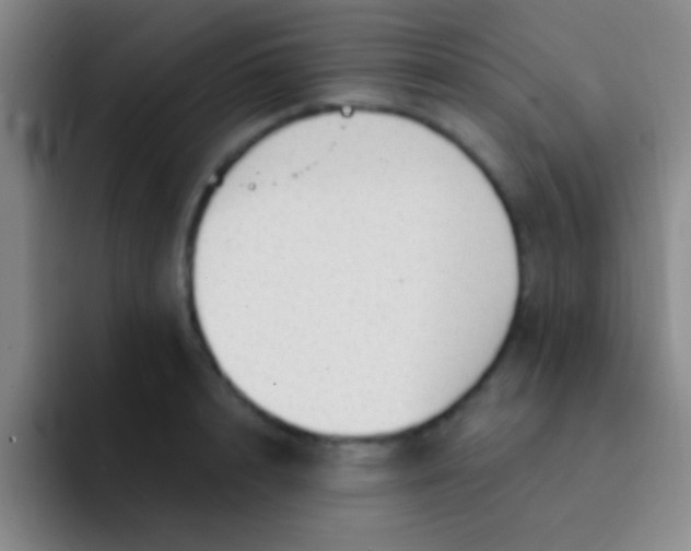 X0000092040848200709261949