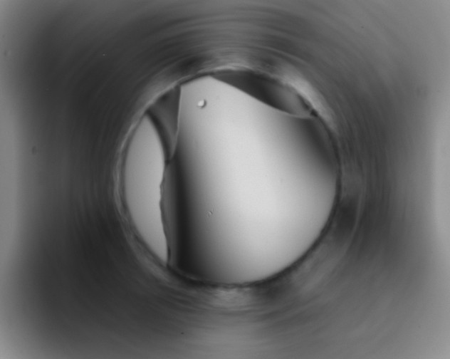 X0000092040850200709261949