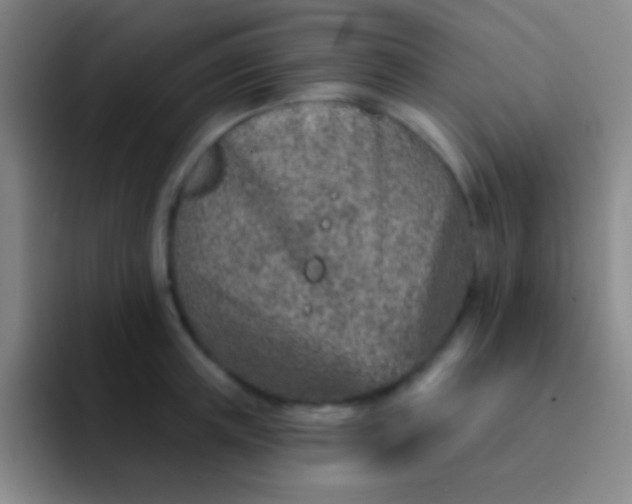 X0000092040851200709261949