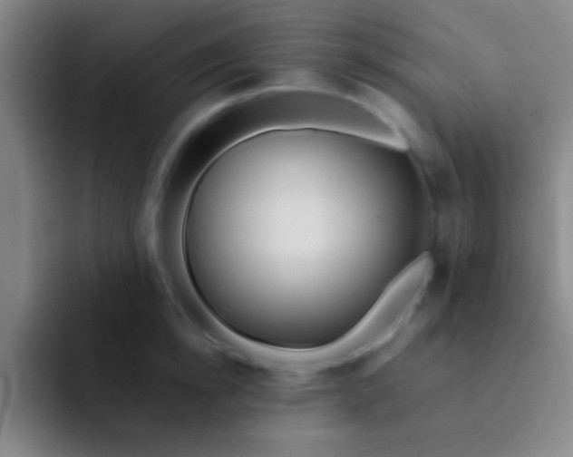 X0000092040854200709261949