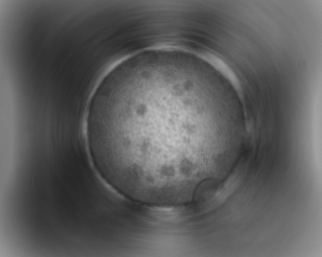 X0000092040855200709261949