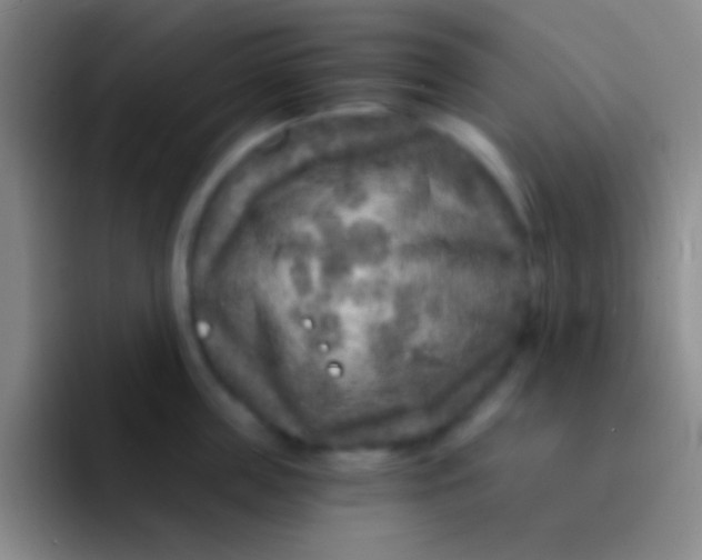 X0000092040859200709261949