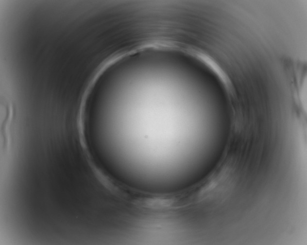 X0000092040861200709261949