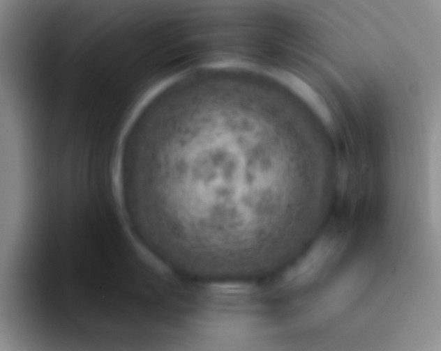 X0000092040863200709261949