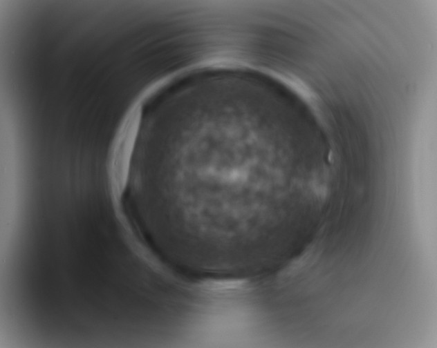 X0000092040864200709261949