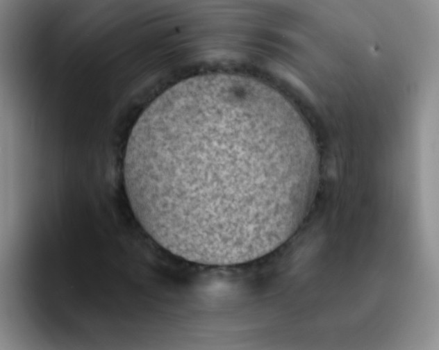 X0000092040869200709261948