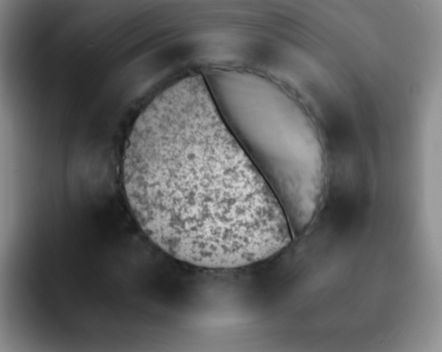 X0000092040871200709261948