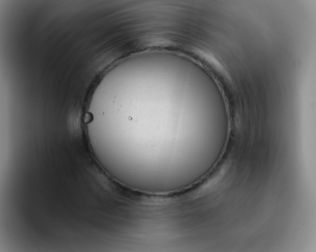 X0000092040873200709261948