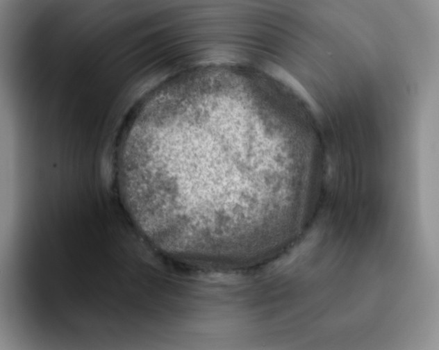 X0000092040874200709261948