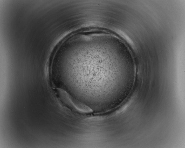 X0000092040877200709261948