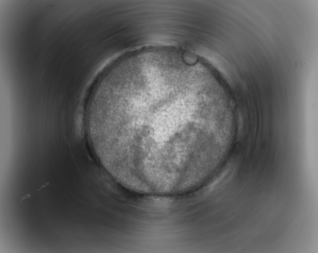 X0000092040878200709261948