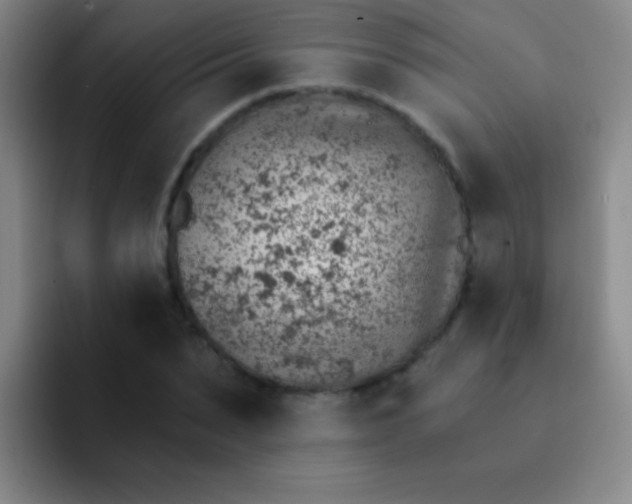 X0000092040879200709261948