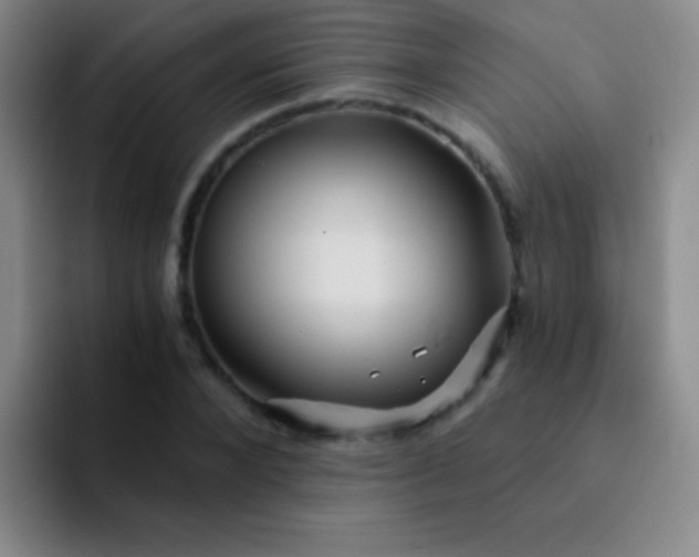 X0000092040880200709261948