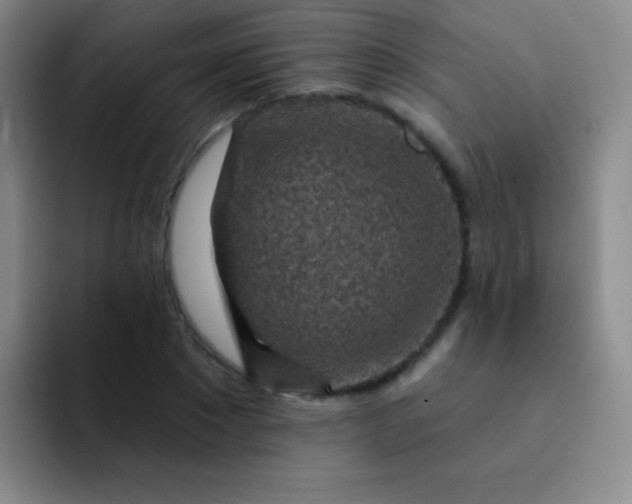 X0000092040881200709261948