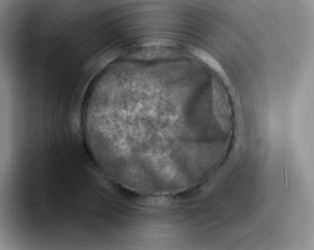 X0000092040882200709261948