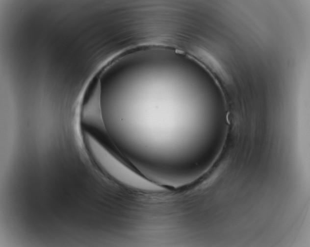 X0000092040884200709261948