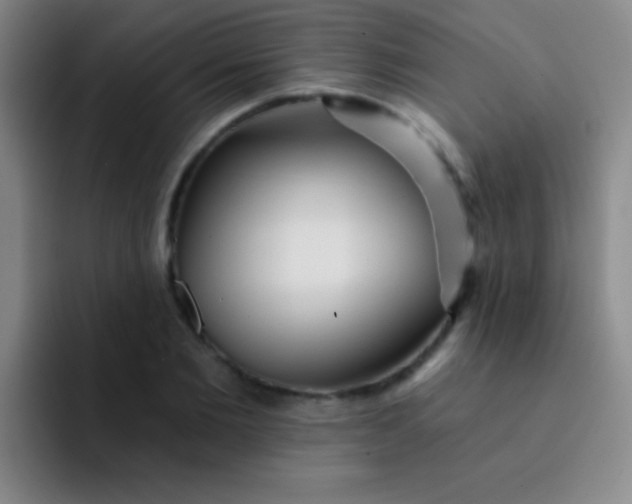 X0000092040885200709261948