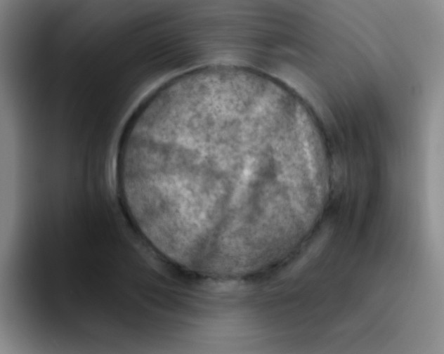 X0000092040886200709261948