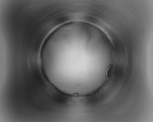 X0000092040887200709261948