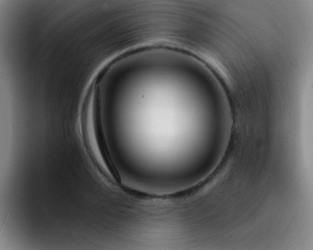 X0000092040888200709261948