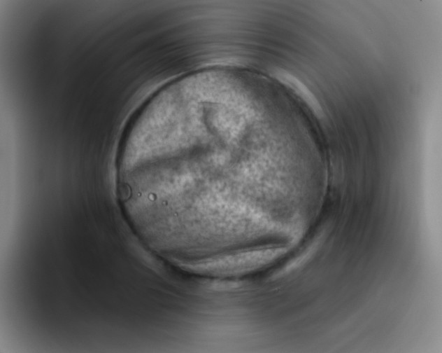 X0000092040890200709261948