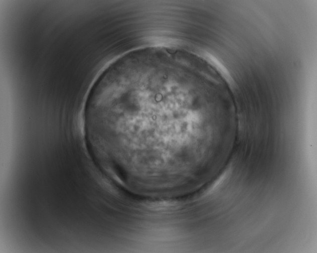 X0000092040891200709261948