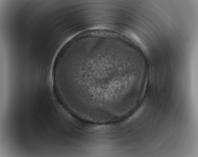 X0000092040892200709261948