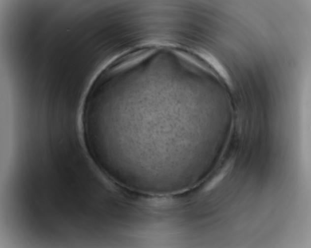 X0000092040893200709261948