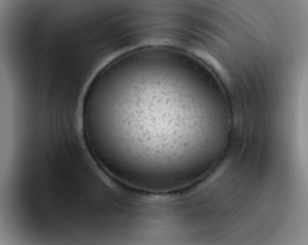 X0000092040894200709261948