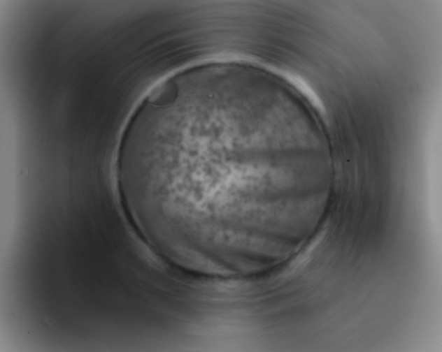 X0000092040895200709261948