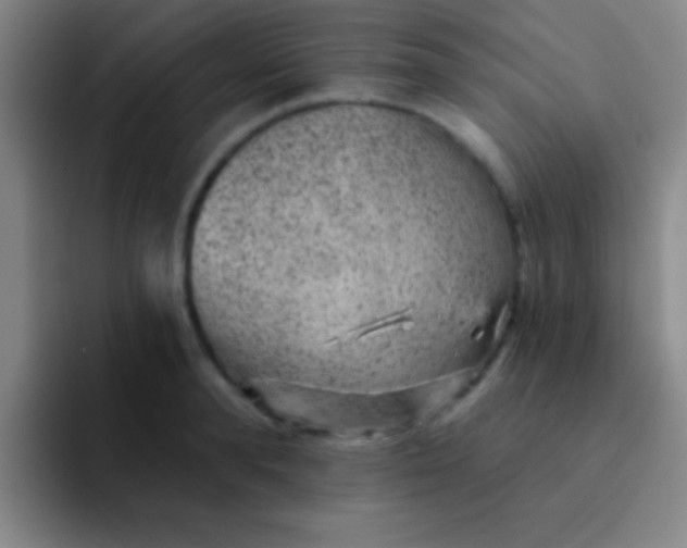 X0000092040896200709261948