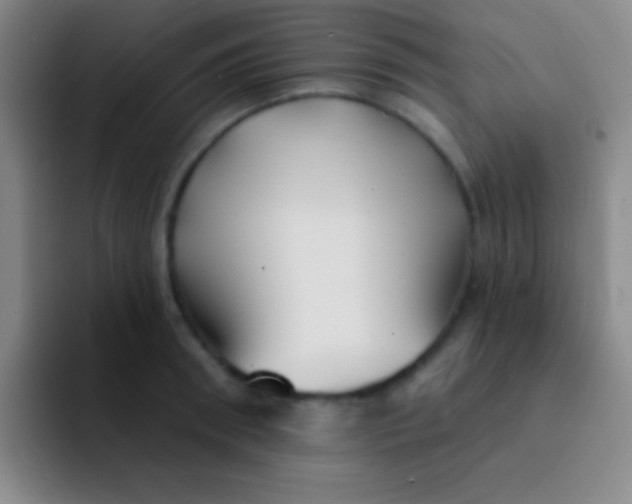 X0000092040898200709261948