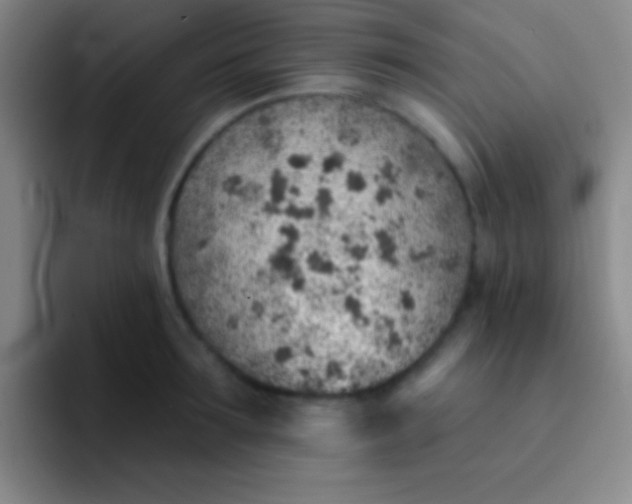 X0000092040899200709261948