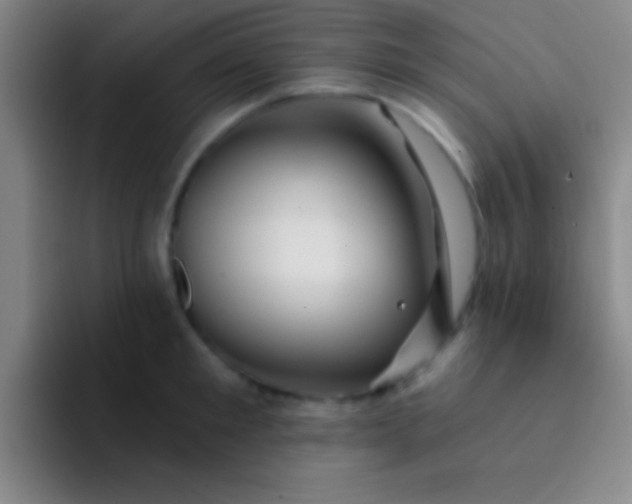 X0000092040901200709261948