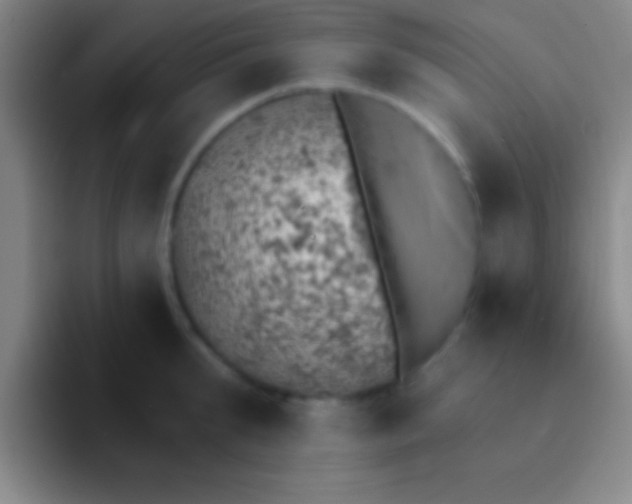 X0000092040903200709261948