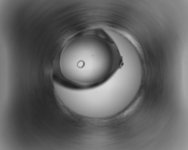 X0000092040905200709261948