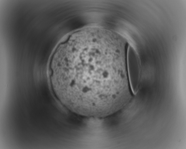 X0000092040907200709261948