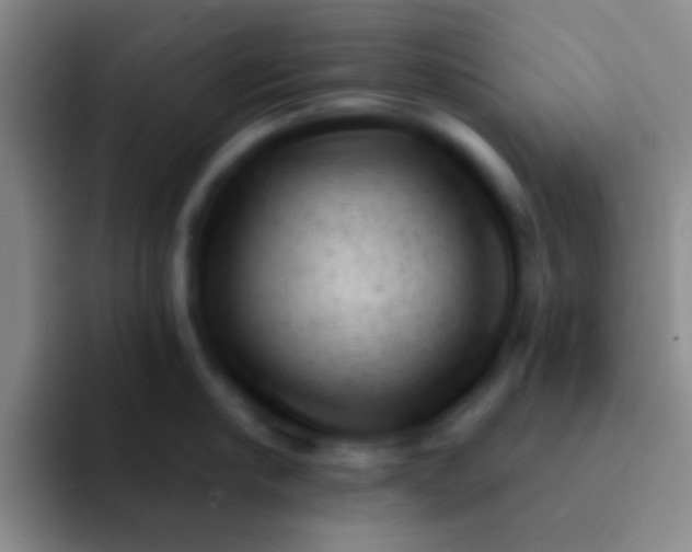 X0000092040910200709261948