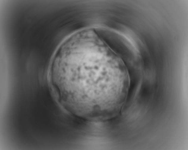 X0000092040911200709261948