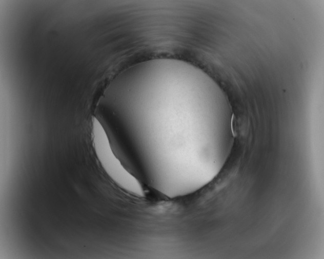 X0000092040916200709261947