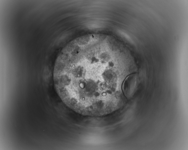 X0000092040917200709261947