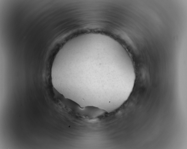 X0000092040920200709261947